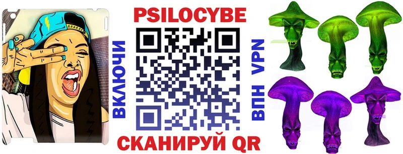 Псилоцибиновые грибы Psilocybine cubensis  Нововоронеж 