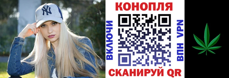 blacksprut как зайти  Нововоронеж  Каннабис план 
